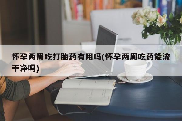 打胎药如何购买怀孕两周吃打胎药有用吗(怀孕两周吃药能流干净吗)