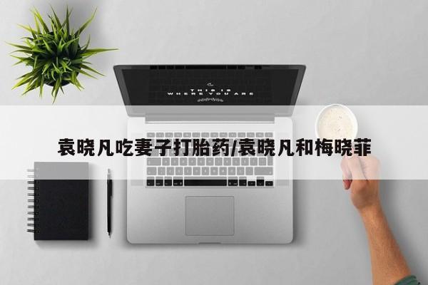 打胎药如何购买袁晓凡吃妻子打胎药/袁晓凡和梅晓菲